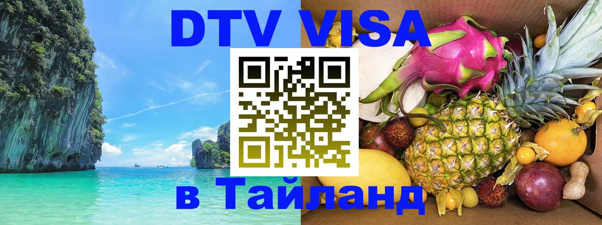 Оформление DTV визы под ключ: стоимость и тарифы, только загранпаспорт - 